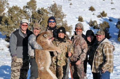 SilverCreek Hunting, dogs barking up the tree for the hunters to find the lion