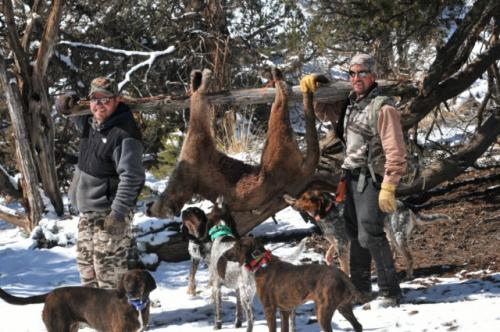 SilverCreek Hunting, different locations for large cats. Hunting for large mountain lions in the mountains