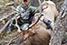 SilverCreek Hunting, Elk or deer hunting. Cleaned or bleached skulls after the hunt for trophies. 