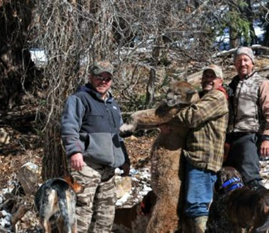 SilverCreek Hunting, Big bull hunting with large game and trophy kills 