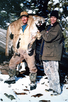 SilverCreek Hunting, Elk hunting with trophies and large antlers